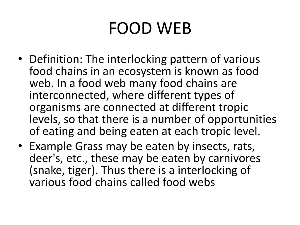 food web