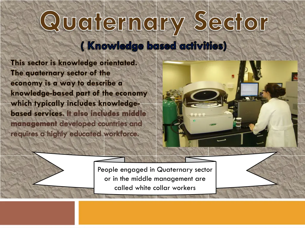 quaternary sector knowledge based activities