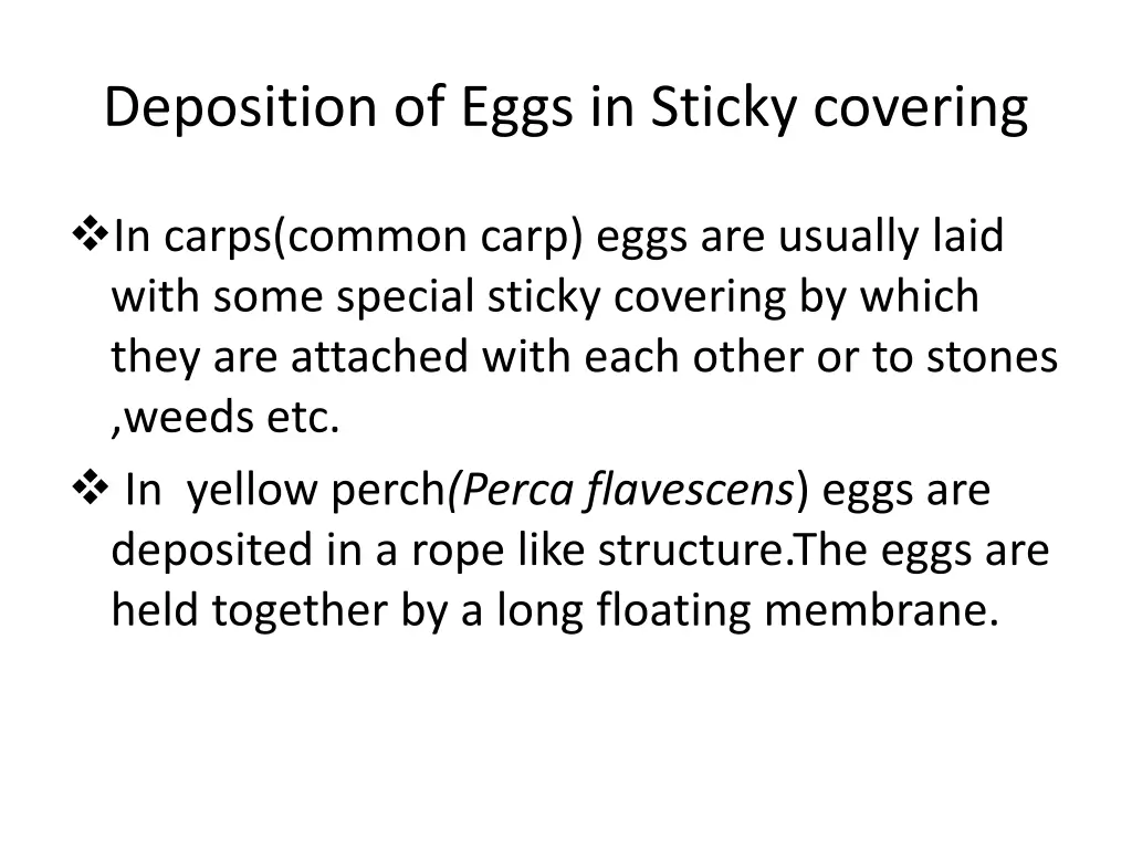 deposition of eggs in sticky covering