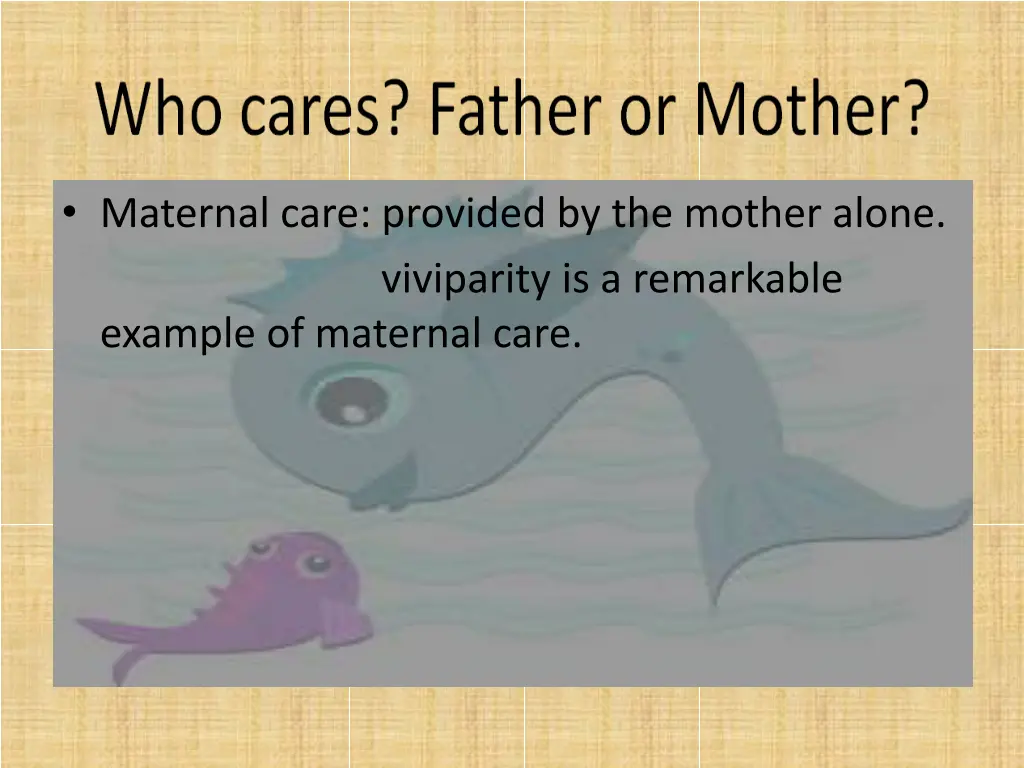 maternal care provided by the mother alone