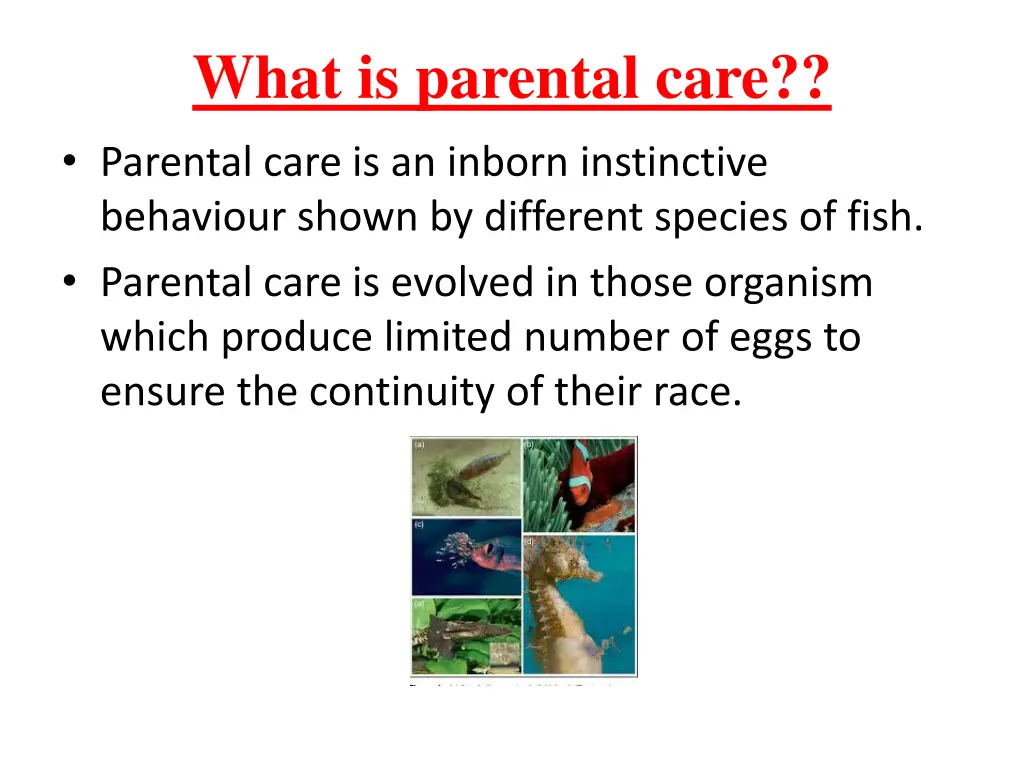 what is parental care