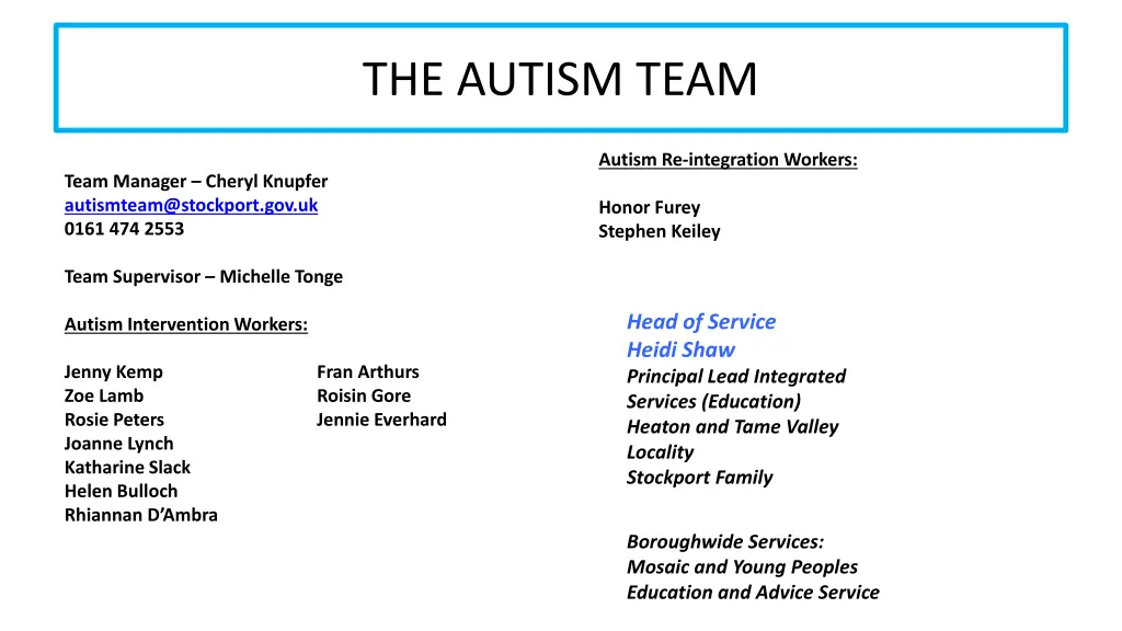 the autism team