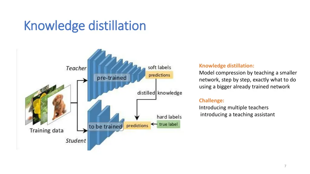 knowledge distillation knowledge distillation