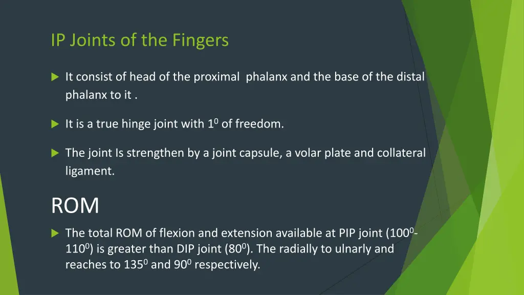 ip joints of the fingers