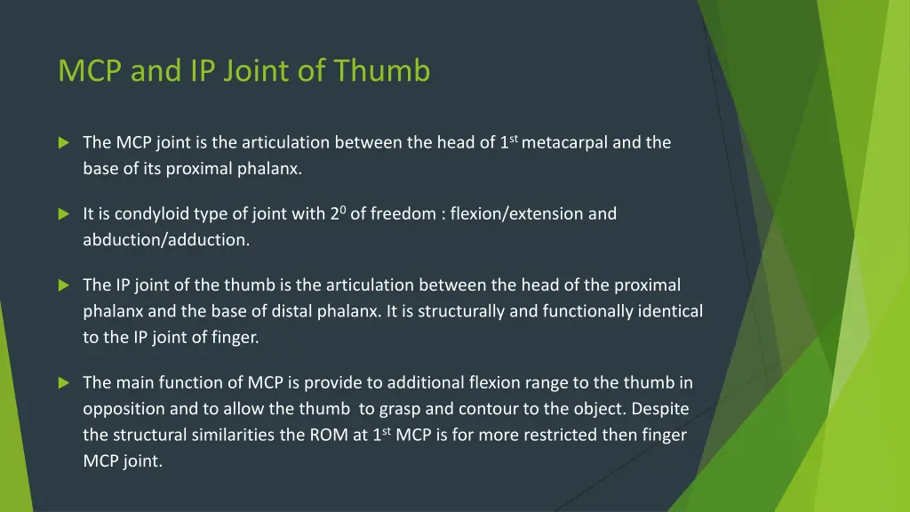 mcp and ip joint of thumb