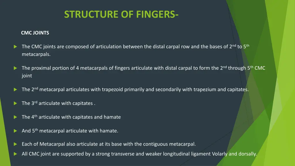 structure of fingers