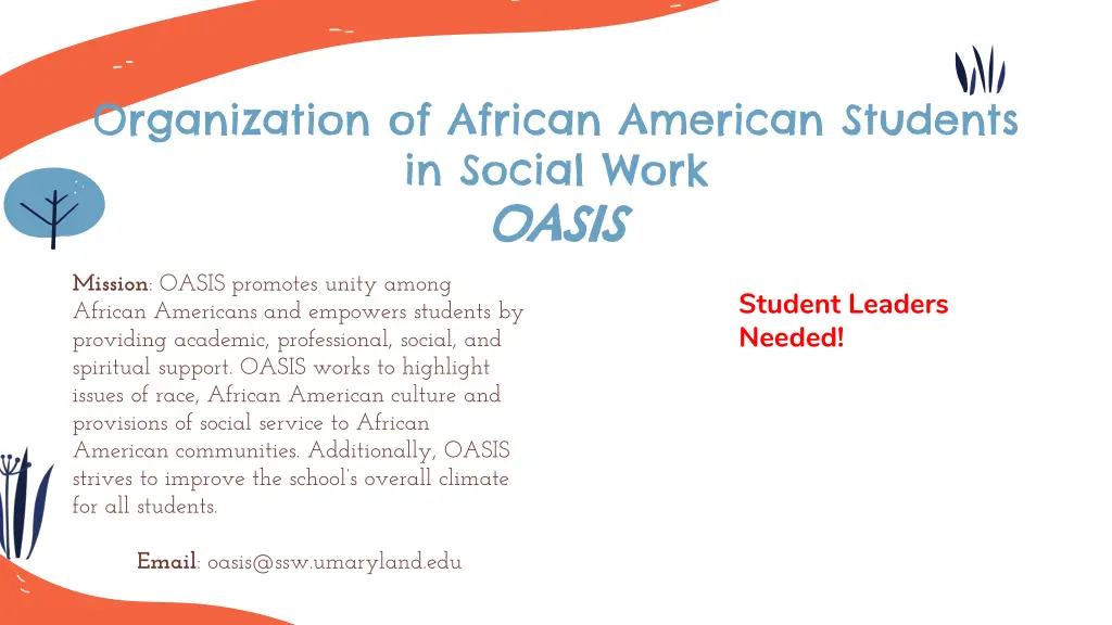 organization of african american students