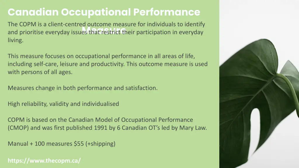 canadian occupational performance measure