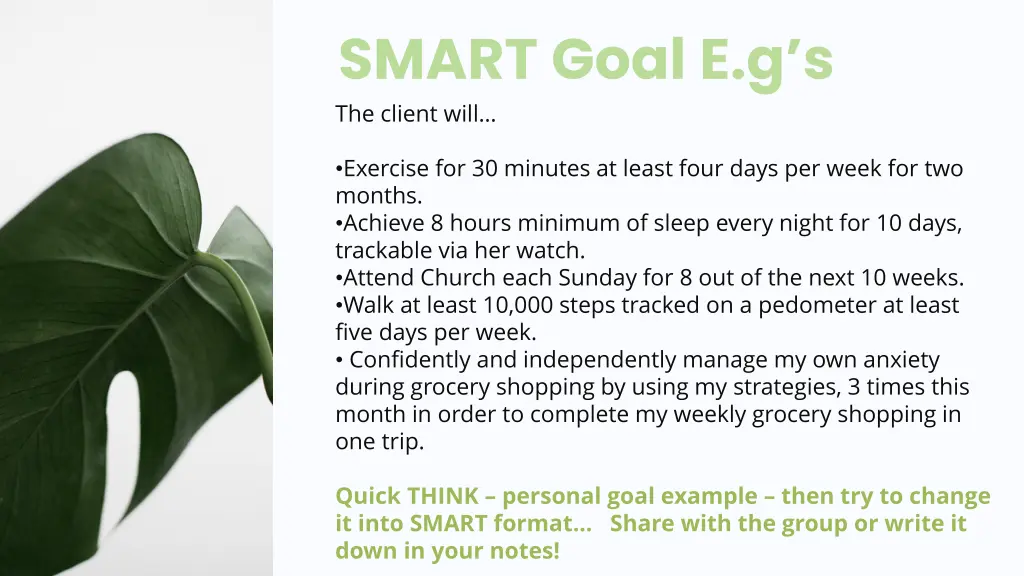 smart goal e g s the client will