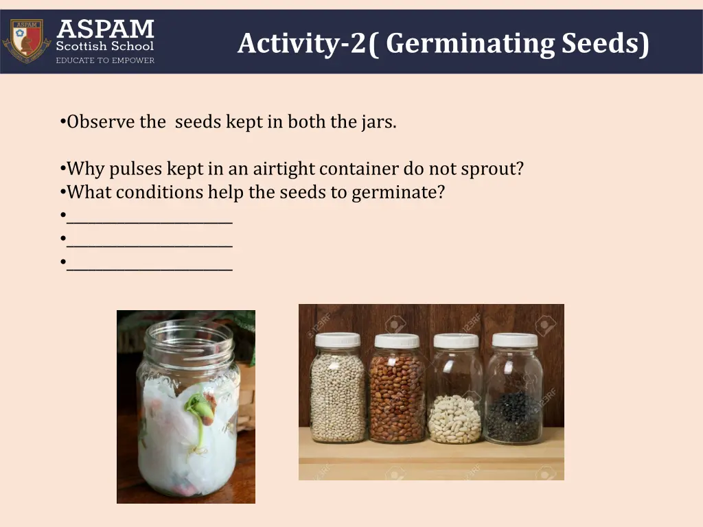 activity 2 germinating seeds