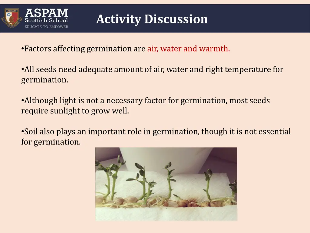 activity discussion 1