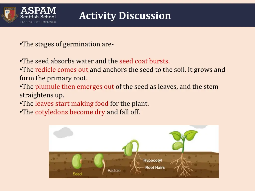 activity discussion 3