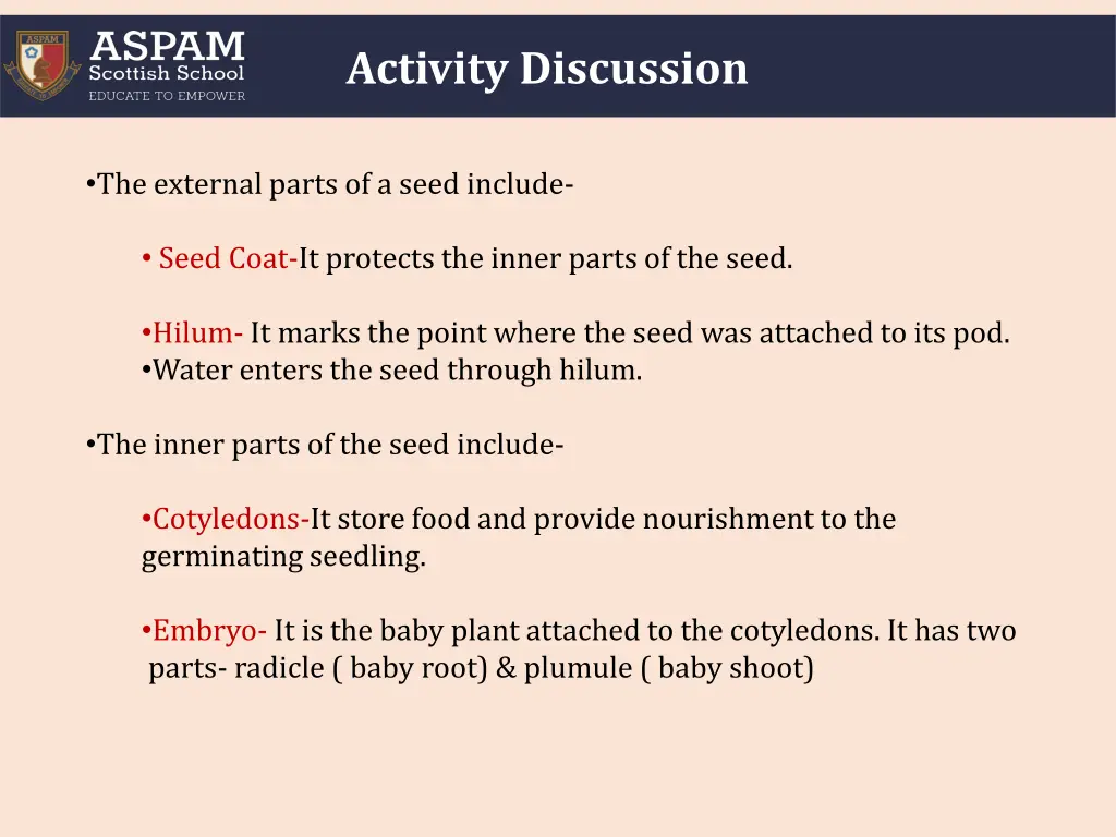 activity discussion