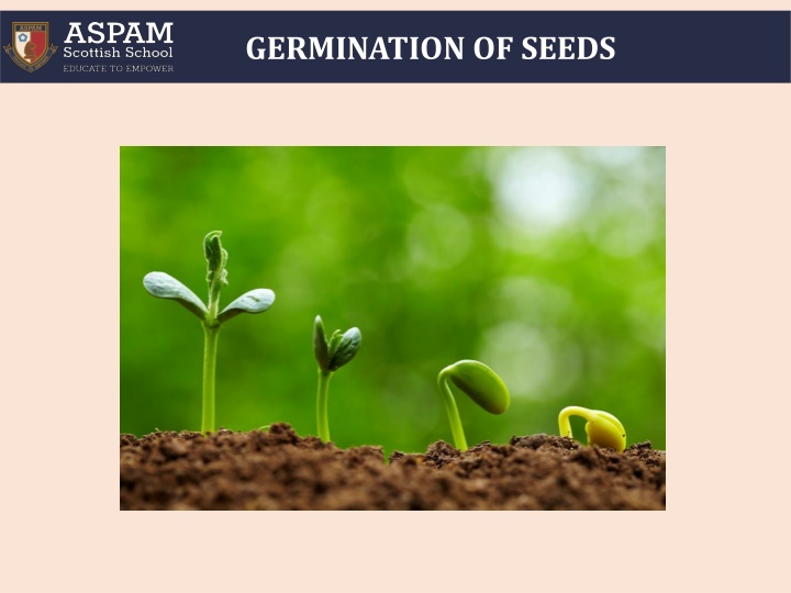 germination of seeds