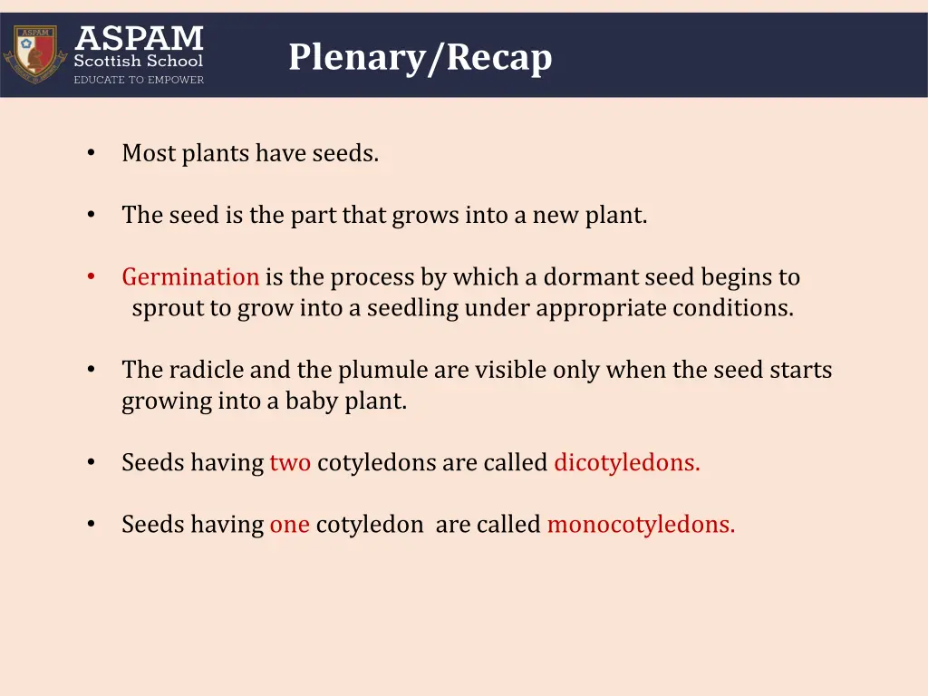 plenary recap