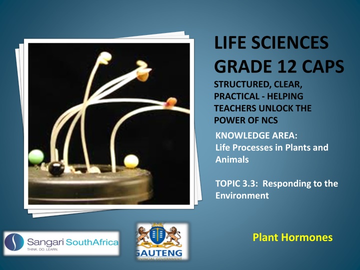 life sciences grade 12 caps structured clear