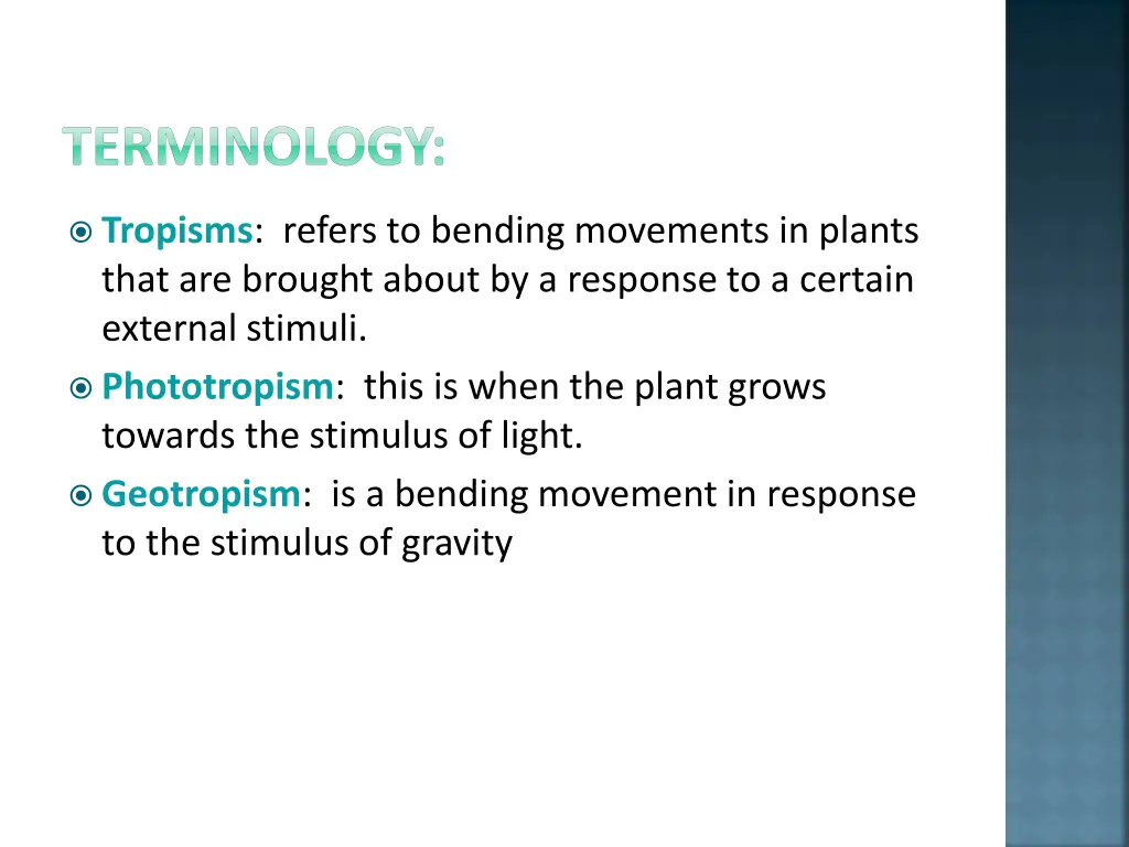 terminology 3