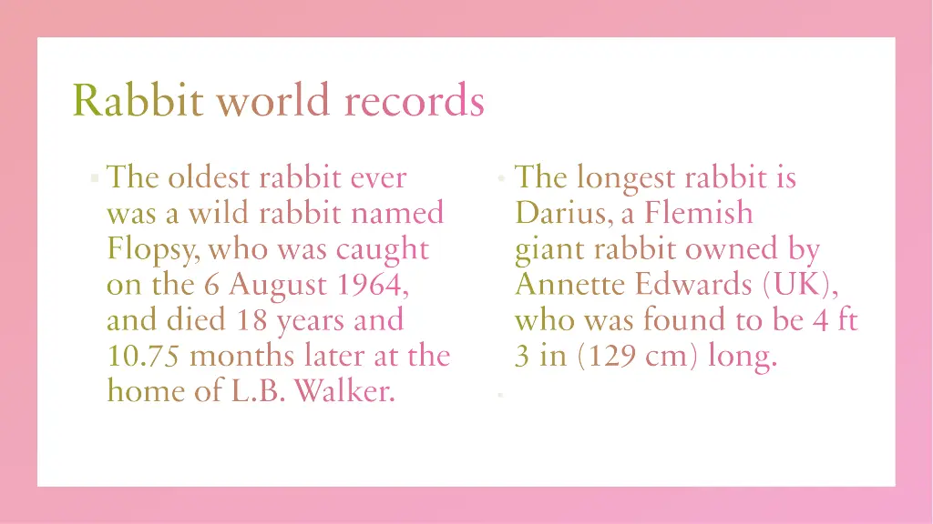 rabbit world records