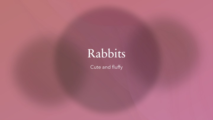 rabbits