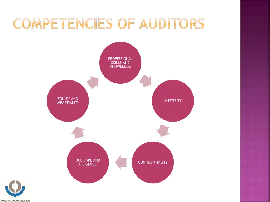 competencies of auditors