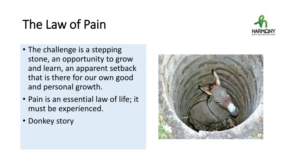 the law of pain the law of pain