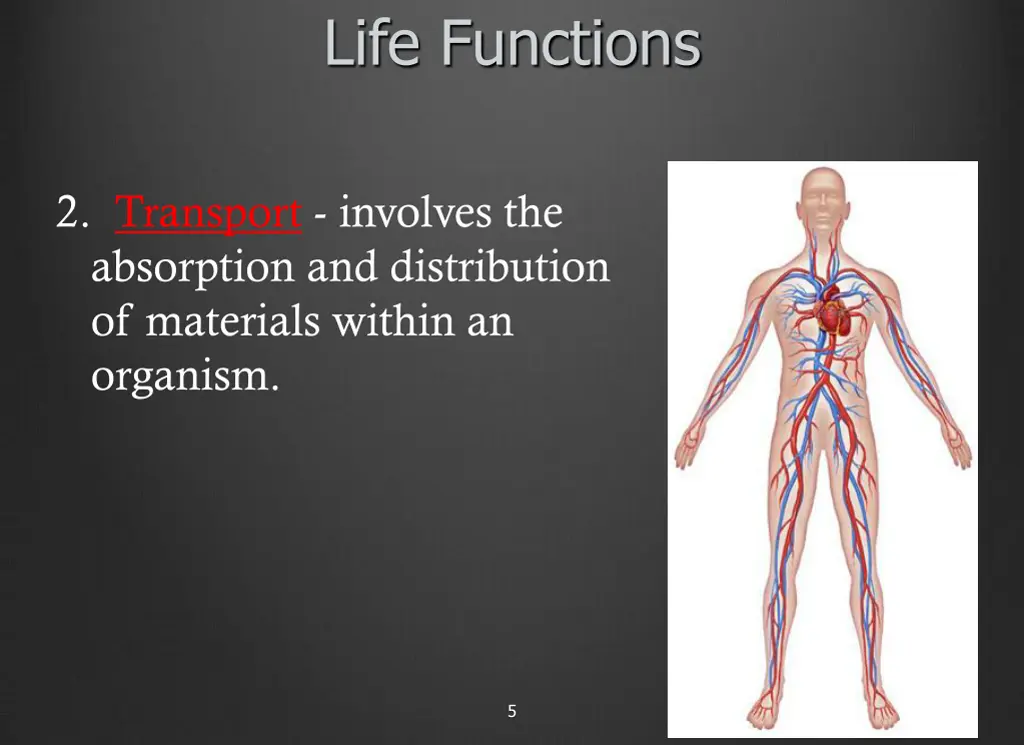 life functions 1