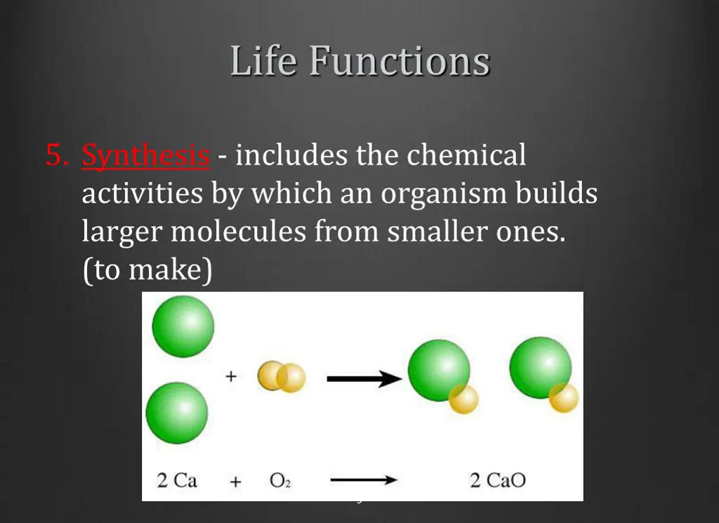 life functions 4