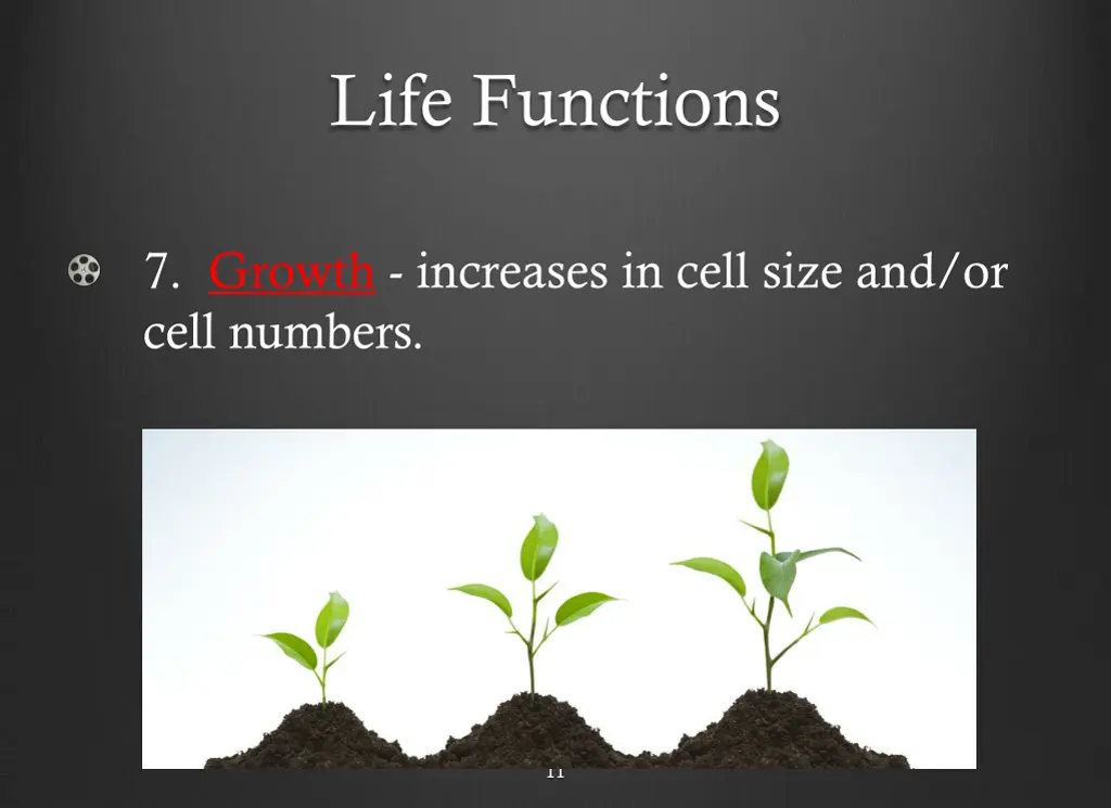 life functions 6