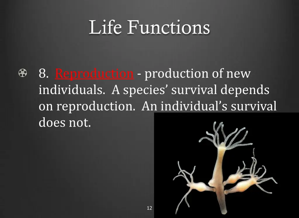 life functions 7