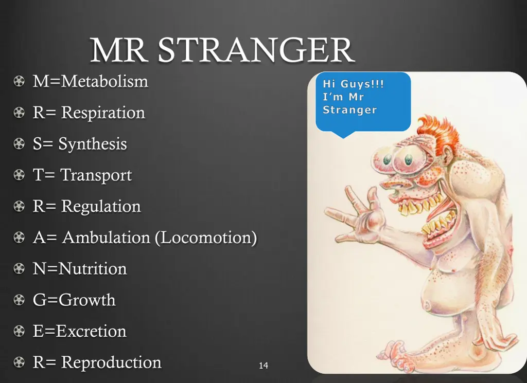 mr stranger m metabolism