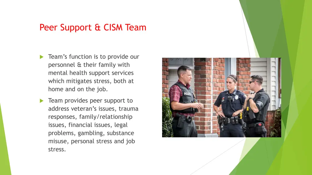 peer support cism team