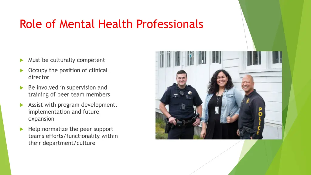 role of mental health professionals