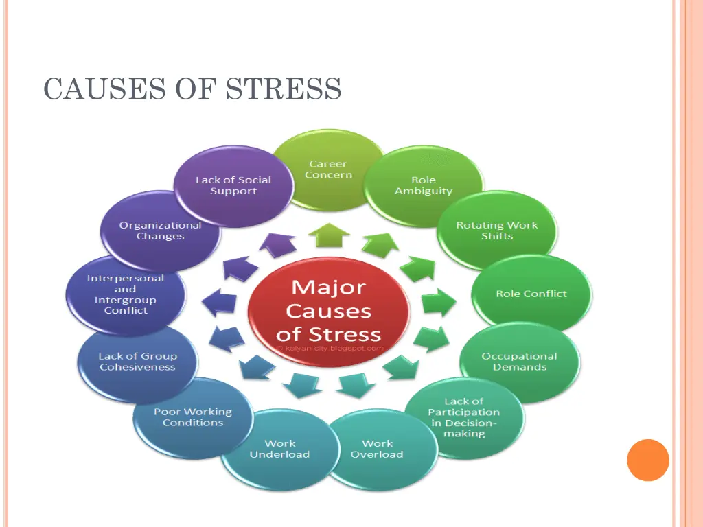 causes of stress