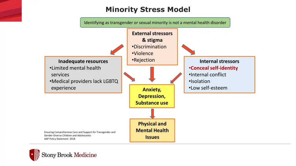 minority stress model