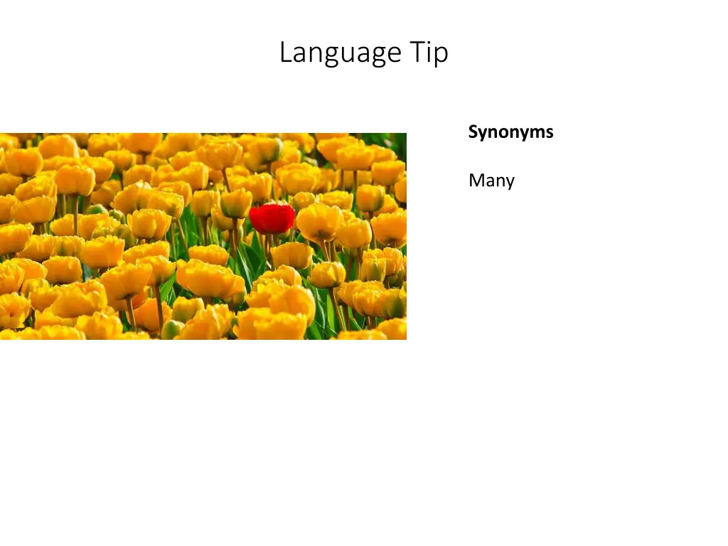 language tip 18