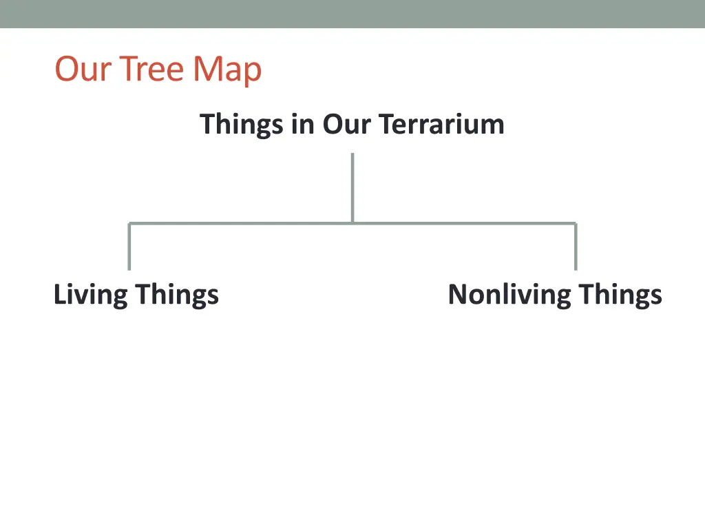 our tree map