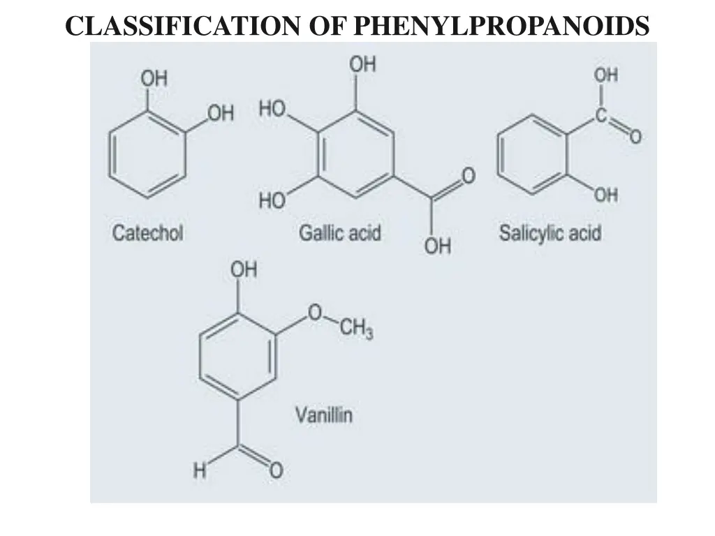 classification of phenylpropanoids 6