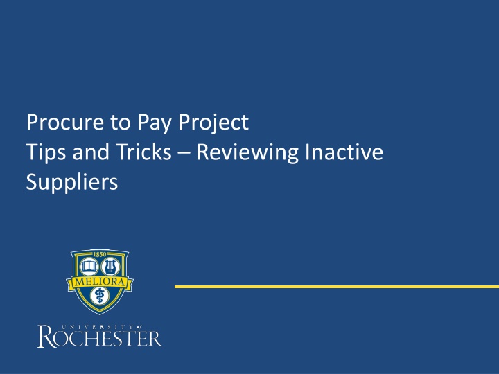 procure to pay project tips and tricks reviewing