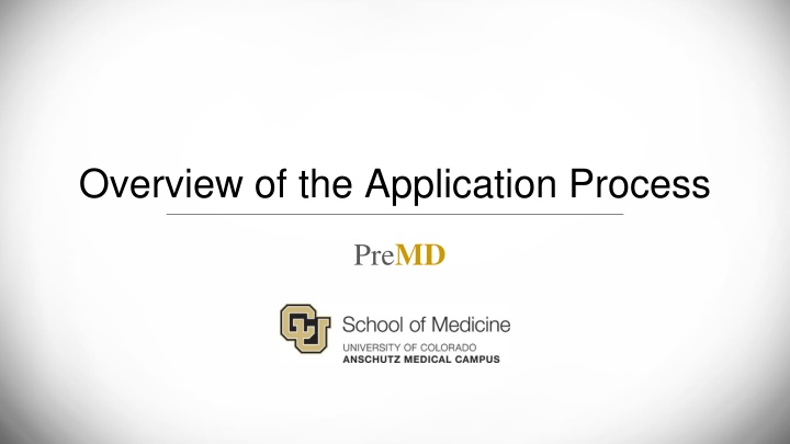 overview of the application process