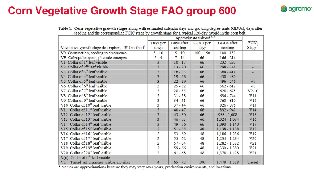 corn vegetative growth stage fao group 600