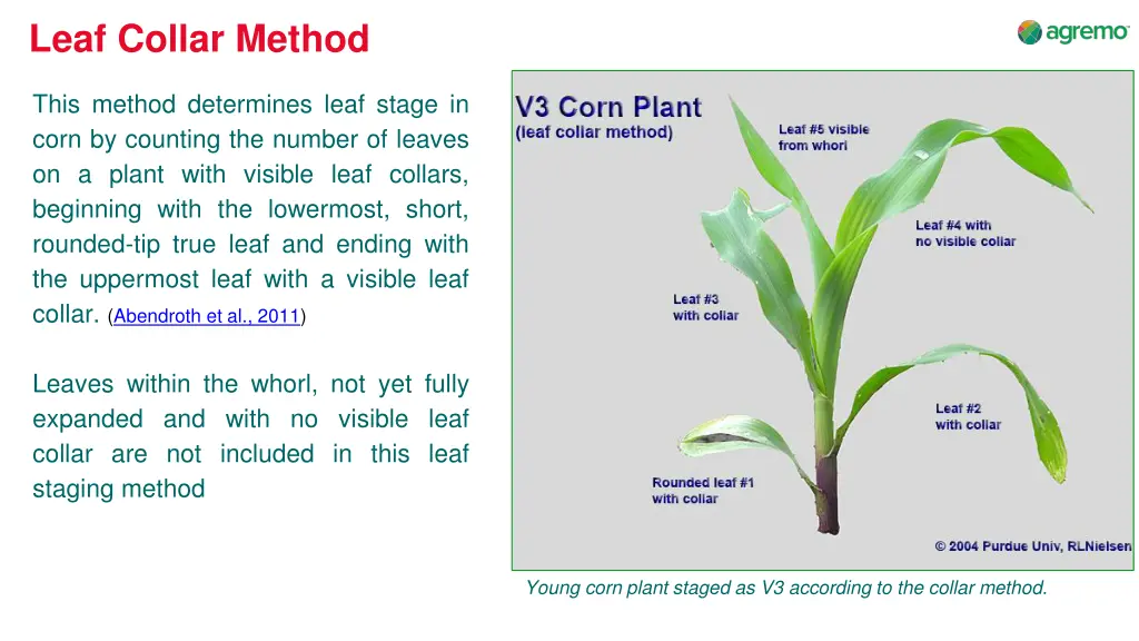 leaf collar method