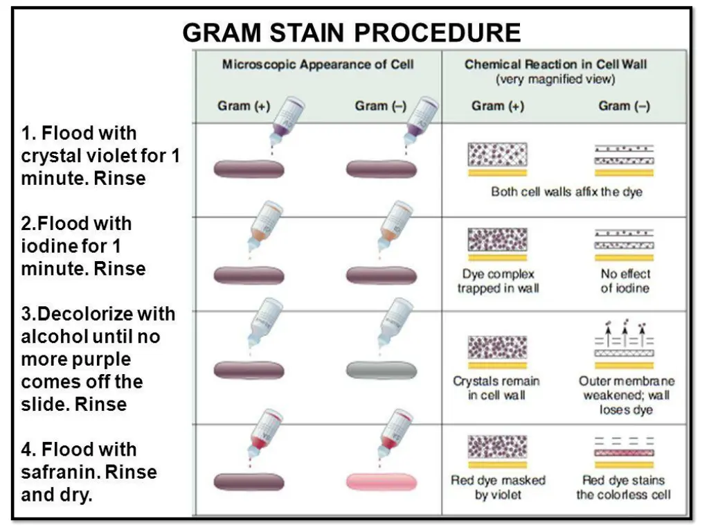 slide8