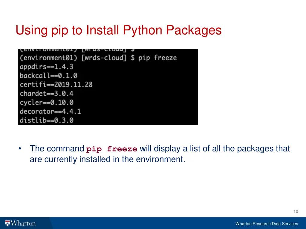 using pip to install python packages 1