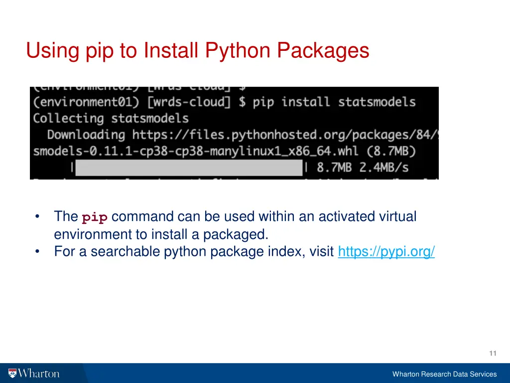 using pip to install python packages