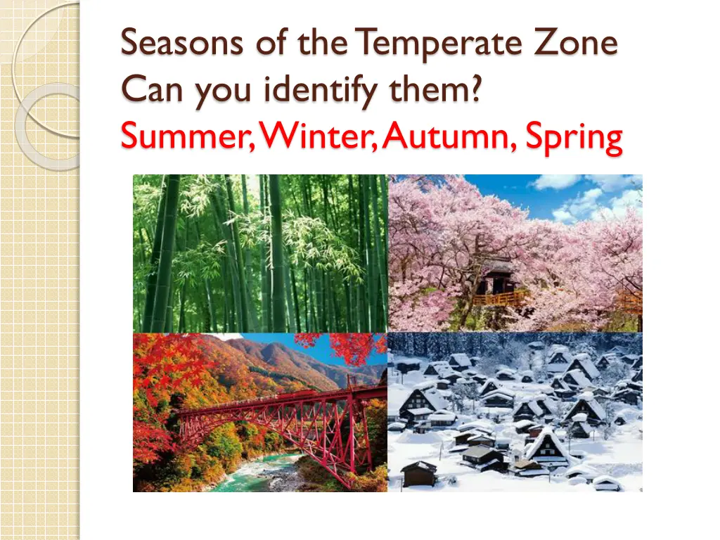 seasons of the temperate zone can you identify