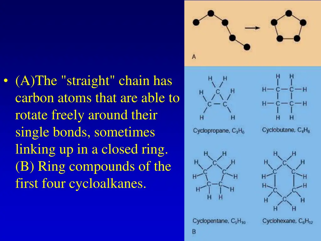 a the straight chain has carbon atoms that