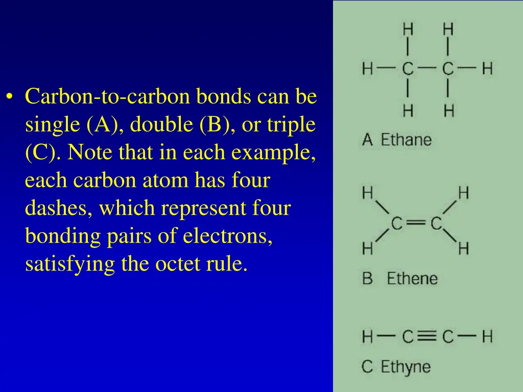 carbon to carbon bonds can be single a double