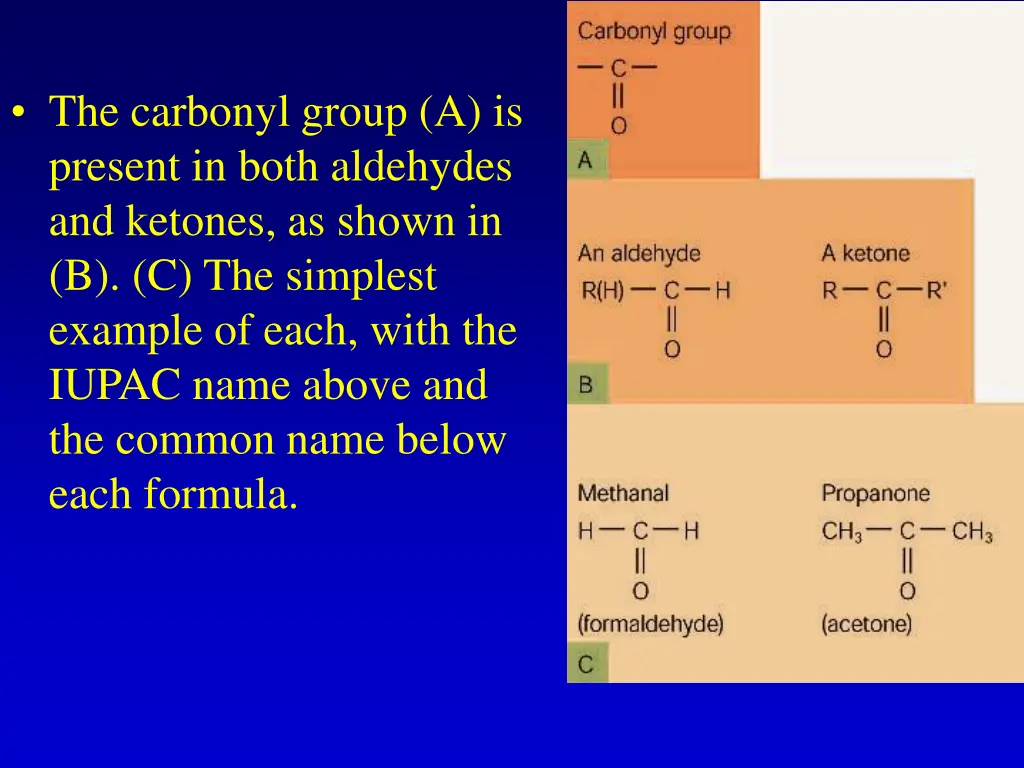 the carbonyl group a is present in both aldehydes