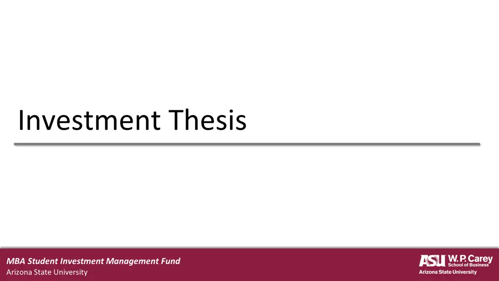 investment thesis