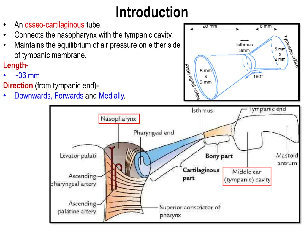 introduction